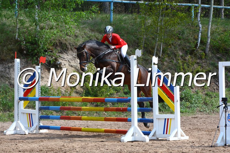 004M1884_Chellestino_Springpferde A xx.JPG